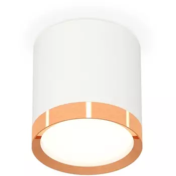 Накладной светильник светодиодный Ambrella Techno Spot XS8141005