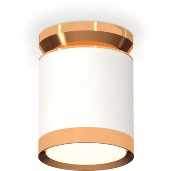 Накладной светильник светодиодный Ambrella Techno Spot XS8141030