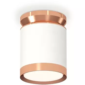 Накладной светильник светодиодный Ambrella Techno Spot XS8141035