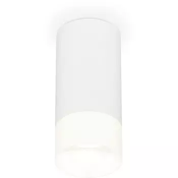 Накладной светильник светодиодный Ambrella Techno Spot XS8161003