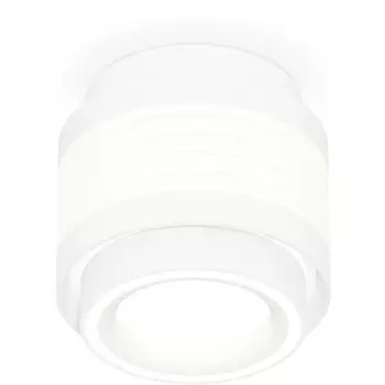 Накладной светильник светодиодный Ambrella Techno Spot XS8431002