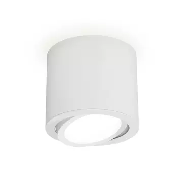 Накладной светильник светодиодный Ambrella Techno XS7401001