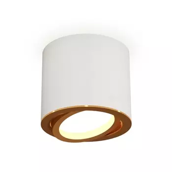 Накладной светильник светодиодный Ambrella Techno XS7401004