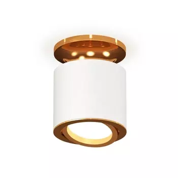 Накладной светильник светодиодный Ambrella Techno XS7401120