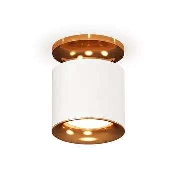 Накладной светильник светодиодный Ambrella Techno XS7401122