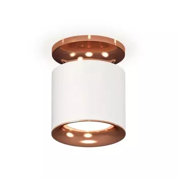 Накладной светильник светодиодный Ambrella Techno XS7401142