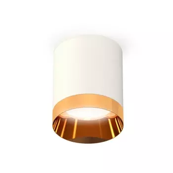 Накладной светильник светодиодный Ambrella XS XS6301024