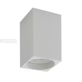 Накладной точечный светильник DK2009-WH (Denkirs)