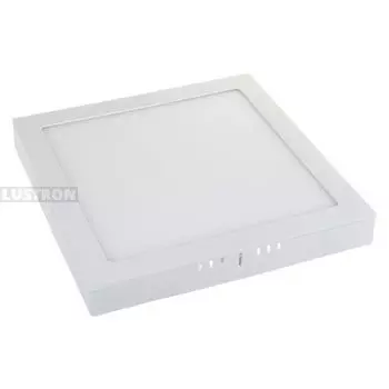 Накладной точечный светодиодный светильник DLS020 24W 4200K Elektrostandard