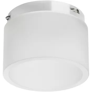 Насадка торцевая с рассеивателем на светильник Lightstar RULLO 202431