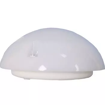 Настенно-потолочный светильник 06-60-012 IP54 ЭРА НБП