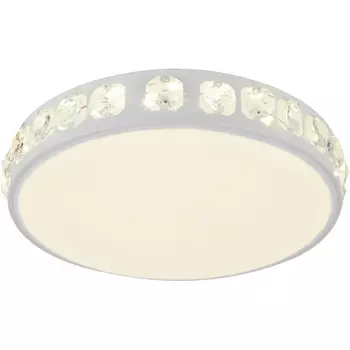 Настенно-потолочный светильник Hiper Akacia H843-0