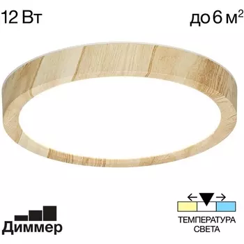 Настенно-потолочный светильник Citilux Бейсик CL738122N