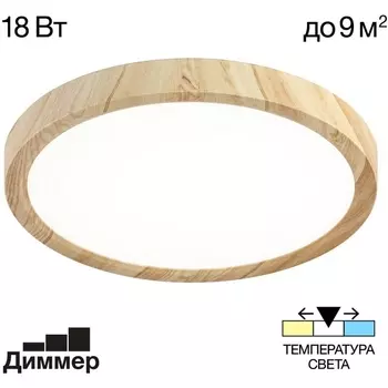 Настенно-потолочный светильник Citilux Бейсик CL738182V