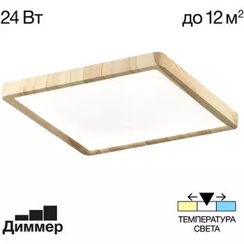 Настенно-потолочный светильник Citilux Бейсик CL738K242V