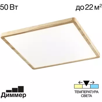 Настенно-потолочный светильник Citilux Бейсик CL738K502V