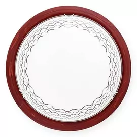 Настенно-потолочный светильник Citte TL9134Y-02PO (TopLight)