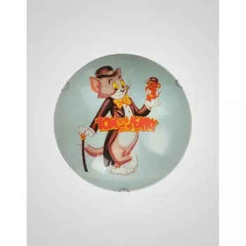 Настенно-потолочный светильник CW1N 000010692 (Мелодия Света)