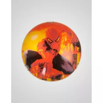 Настенно-потолочный светильник CW1N 000011234 (Мелодия Света)