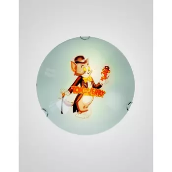 Настенно-потолочный светильник CW1N 000011235 (Мелодия Света)