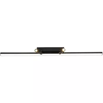 Настенно-потолочный светильник для чтения Favourite Reticenza 4089-2C