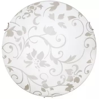 Настенно-потолочный светильник Arte Lamp Ornament A4120PL-2CC