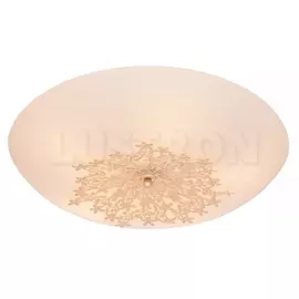 Настенно-потолочный светильник флористика Verbena 835.50.5 (Silver Light)