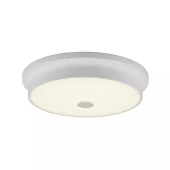 Настенно-потолочный светильник Фостер CL706230 (Citilux)