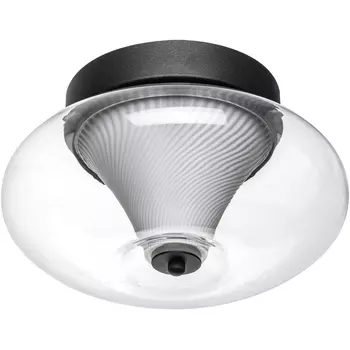 Настенно-потолочный светильник LED Lightstar Palermo 612017