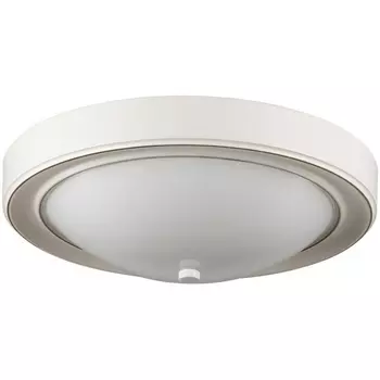 Настенно-потолочный светильник Lumion Nina 5279/2C