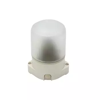 Настенно-потолочный светильник НББ IP65 ЭРА 01-60-001