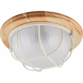 Настенно-потолочный светильник НБО 03-60-012 Feron 11570