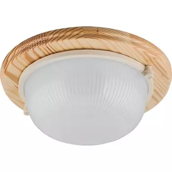 Настенно-потолочный светильник НБО 03-60-01 Feron 11569