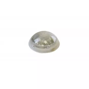 Настенно-потолочный светильник 06-60-001 IP54 ЭРА НБП
