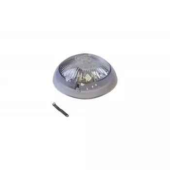 Настенно-потолочный светильник 06-60-011 IP54 ЭРА НБП