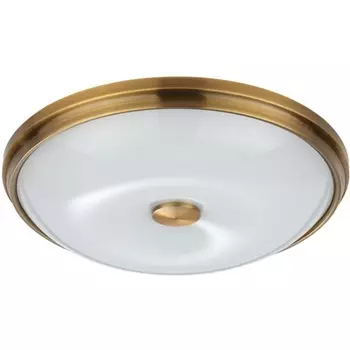 Настенно-потолочный светильник Odeon Light Pelow 4956/4