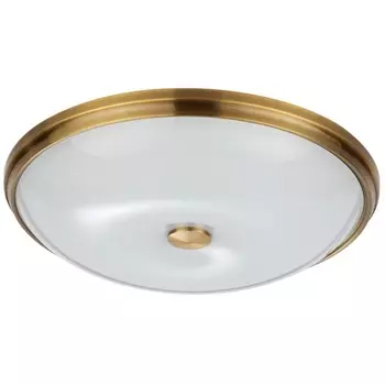Настенно-потолочный светильник Odeon Light Pelow 4956/5