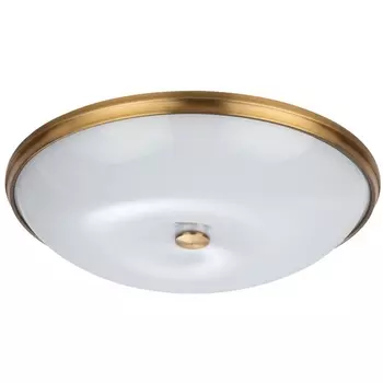 Настенно-потолочный светильник Odeon Light Pelow 4956/6