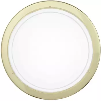 Настенно-потолочный светильник Eglo Planet 1 83157