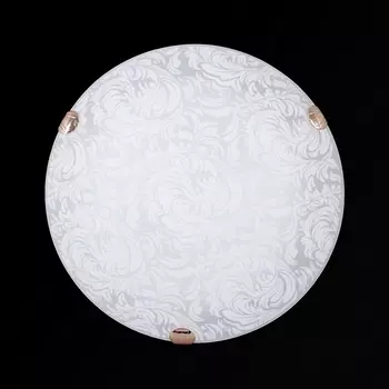 Настенно-потолочный светильник Sneha Перья мат (300) НПБ 01-2х60-001