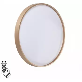 Настенно-потолочный светильник Sonex Gaby 7783/DL пластик/белый/золото LED 48Вт пульт ДУ