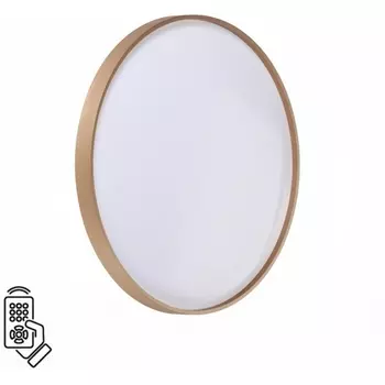 Настенно-потолочный светильник Sonex Gaby 7783/EL пластик/белый/золото LED 70Вт пульт ДУ