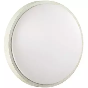 Настенно-потолочный светильник Sonex Losta 7628/AL