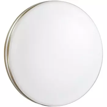 Настенно-потолочный светильник Sonex Smalli 3015/AL