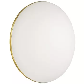 Настенно-потолочный светильник светодиодный для ванной с пультом и управлением смартфоном регулировкой цветовой температуры яркости ночным режимом IP43 Sonex Lassa 3043/DL