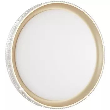 Настенно-потолочный светильник светодиодный для ванной с пультом регулировкой цветовой температуры и яркости ночным режимомShiny IP43 Sonex Shiny 3054/DL