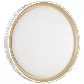 Настенно-потолочный светильник светодиодный для ванной с пультом регулировкой цветовой температуры и яркости ночным режимомShiny IP43 Sonex Shiny 3054/EL