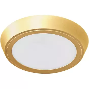 Настенно-потолочный светильник светодиодный Lightstar Urbano 216934