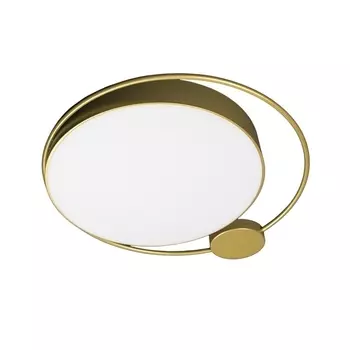 Настенно-потолочный светильник светодиодный Loft It Mike 10063