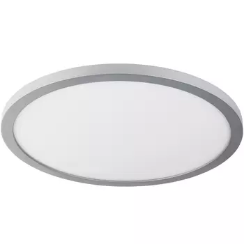 Настенно-потолочный светильник светодиодный с пультом Megan TL1131-1Y (TopLight)